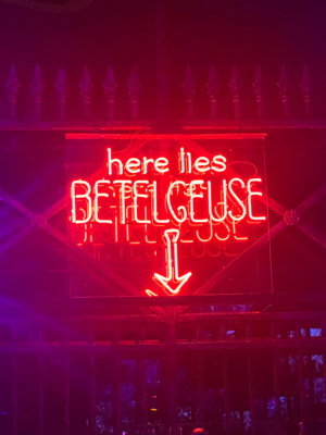 It’s Always Halloween at Beetle House!
